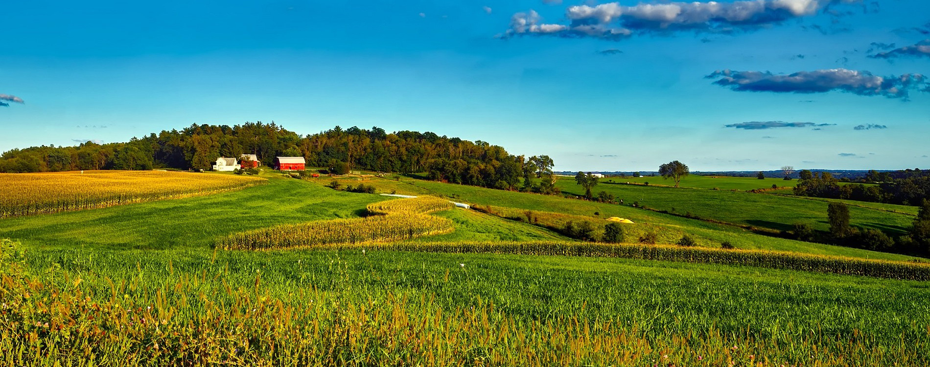 Heinrichs Development Group